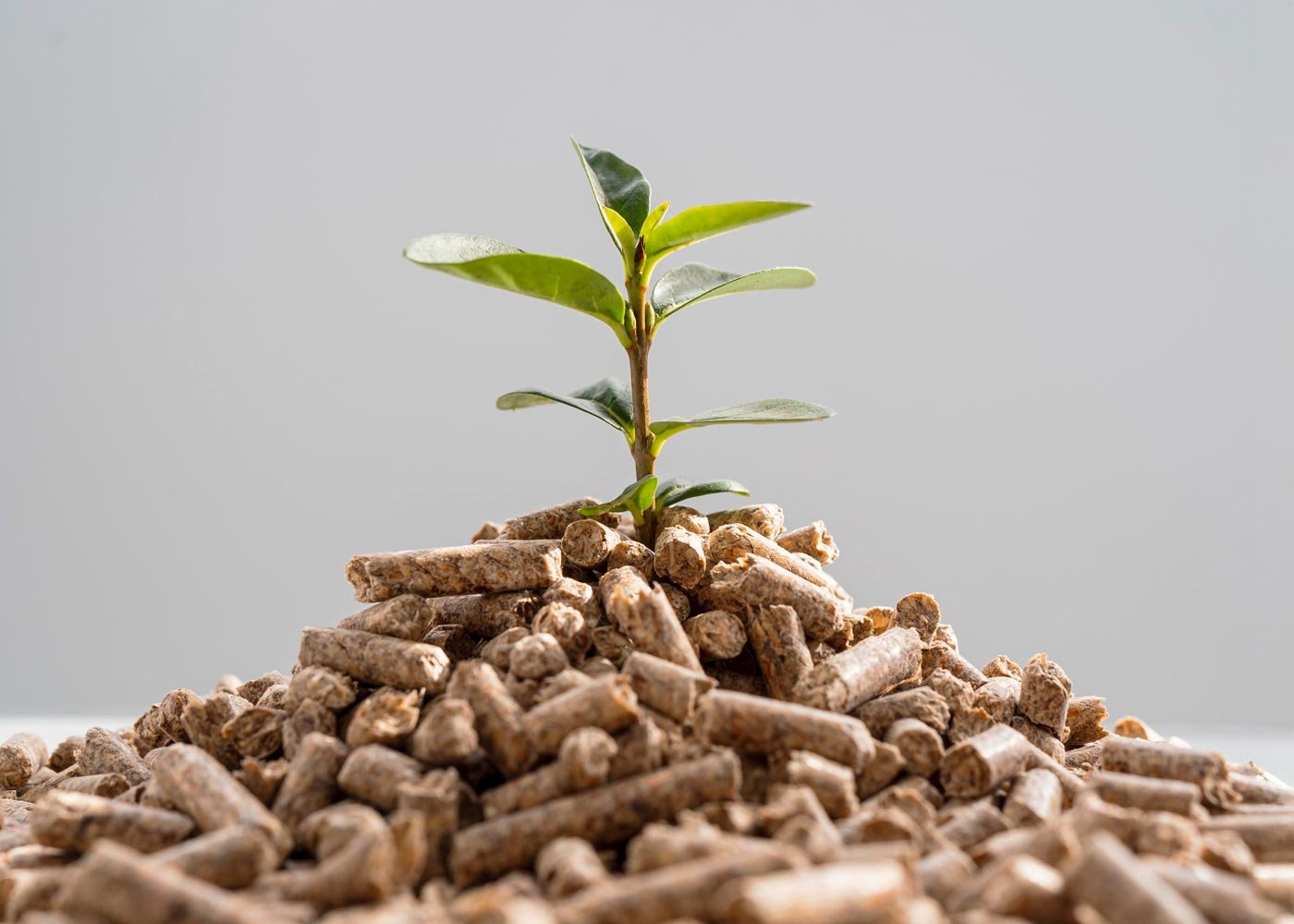 Chaudières à granulés